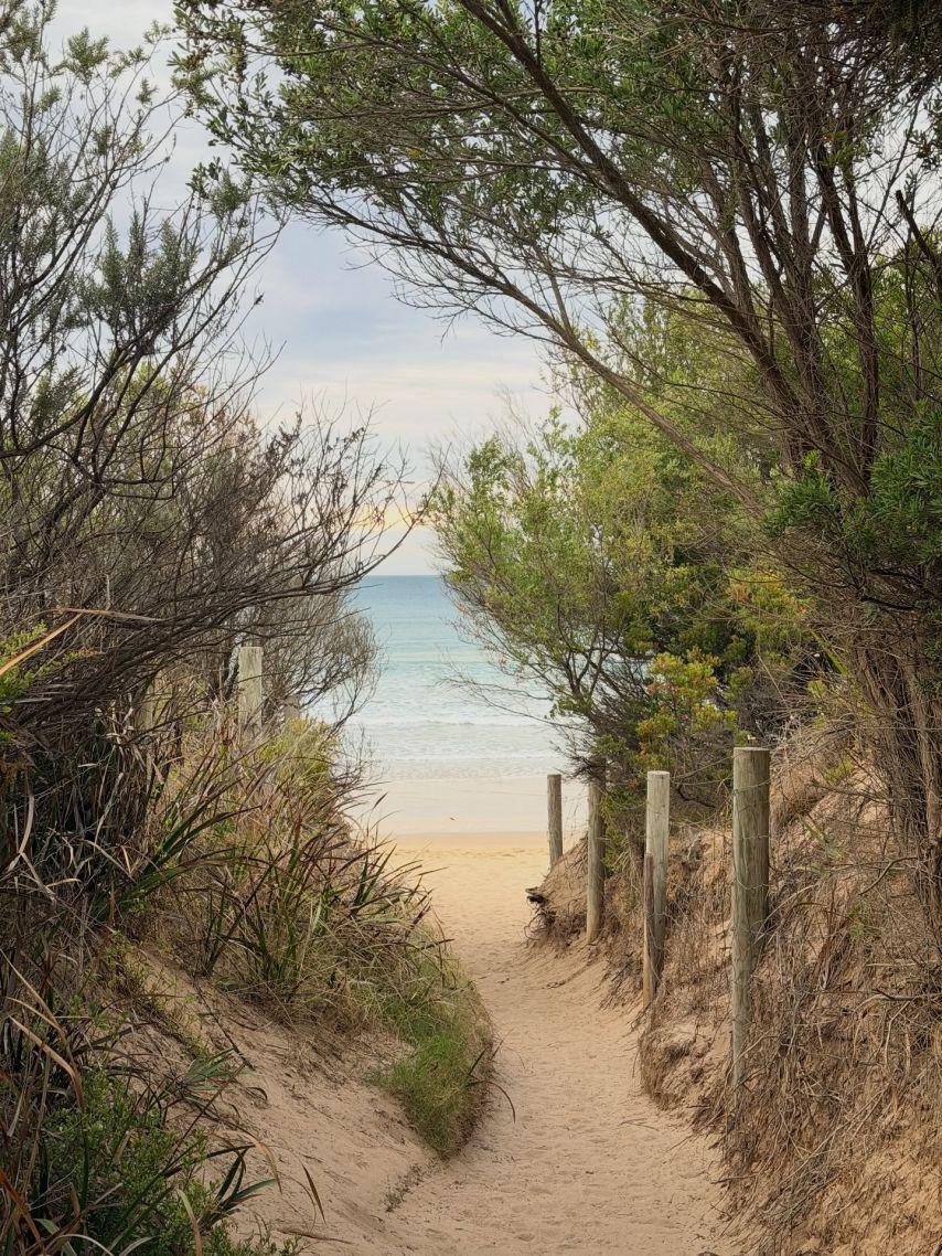 주시은 아나운서15