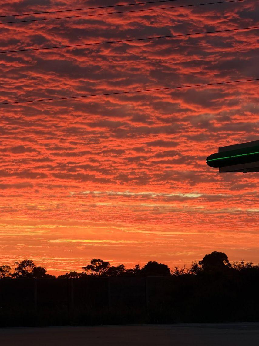 주시은 아나운서26