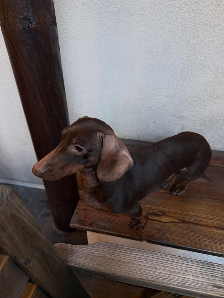 슬기 레드벨벳 인별15