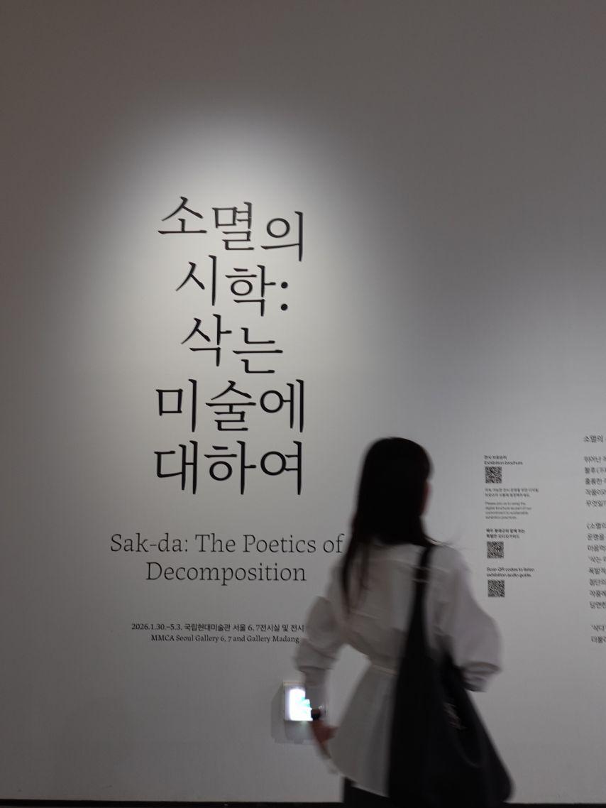 이다솔 아나운서4