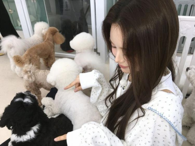 이즈나 방지민3