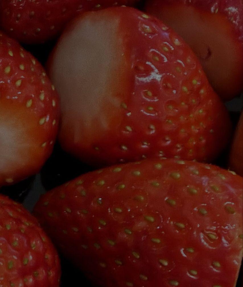 나나 임진아 인별 Like11