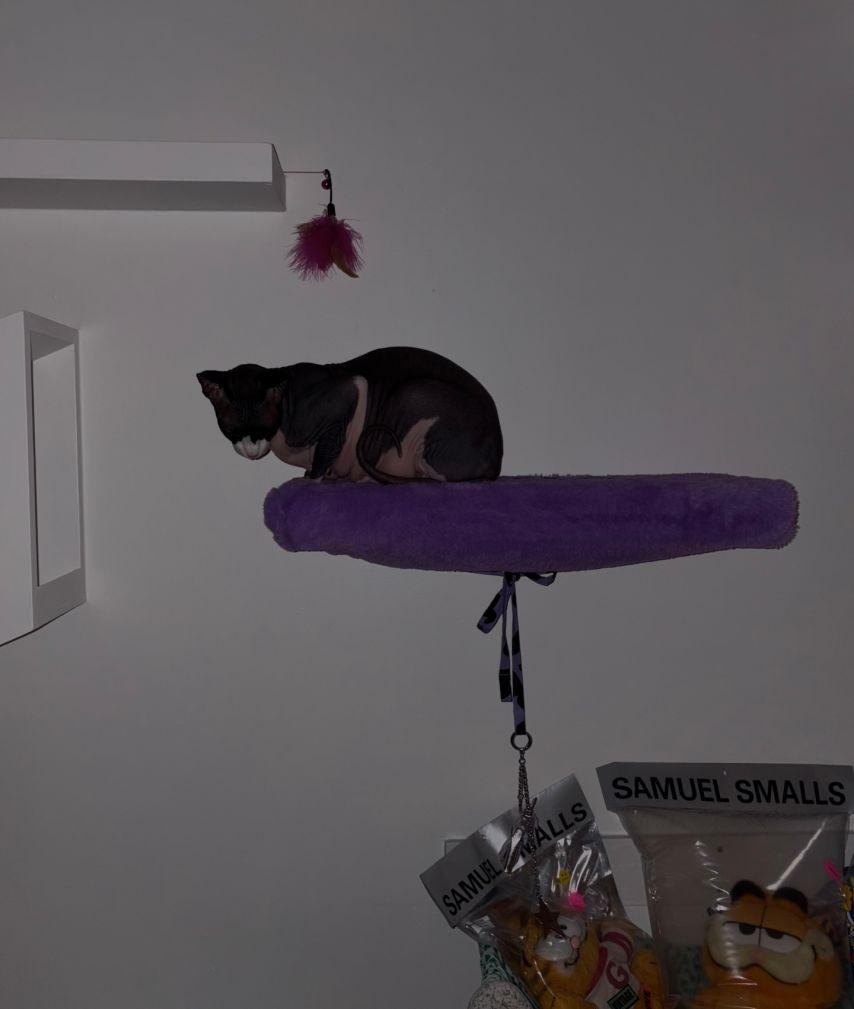 나나 임진아 인별 Like6