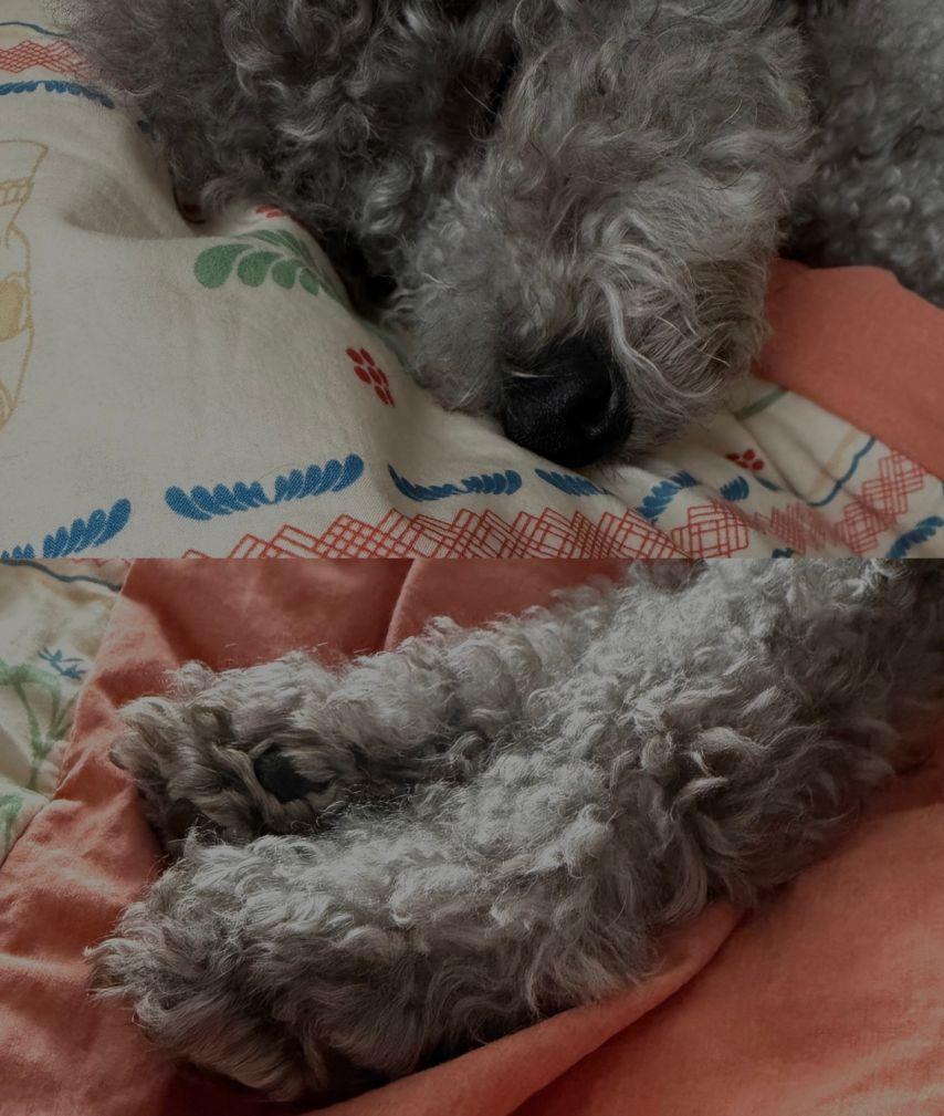 나나 임진아 인별 Like7