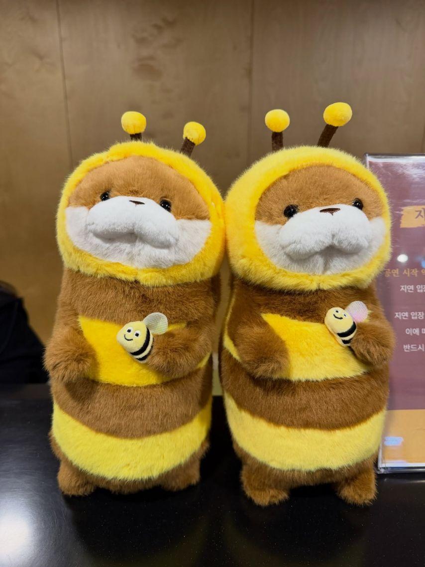 권유리 응원간 최수영 티파니 소녀시대6