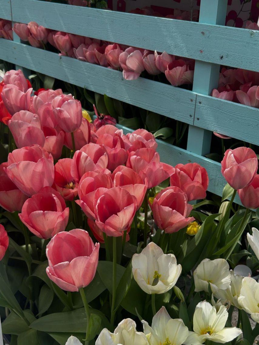 케이김지연 러블리즈 인별3