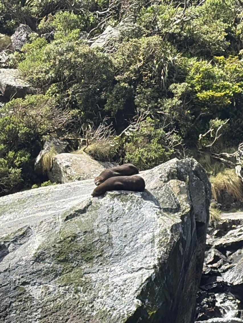 김민하 김설현 신은수/ 설현 인별10