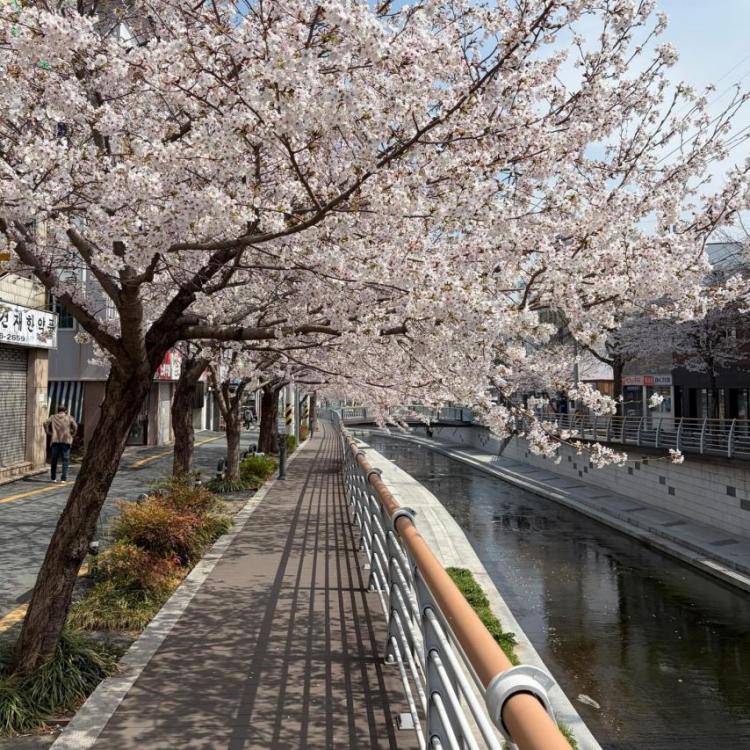 표예진 인별 좋은데이 창원5