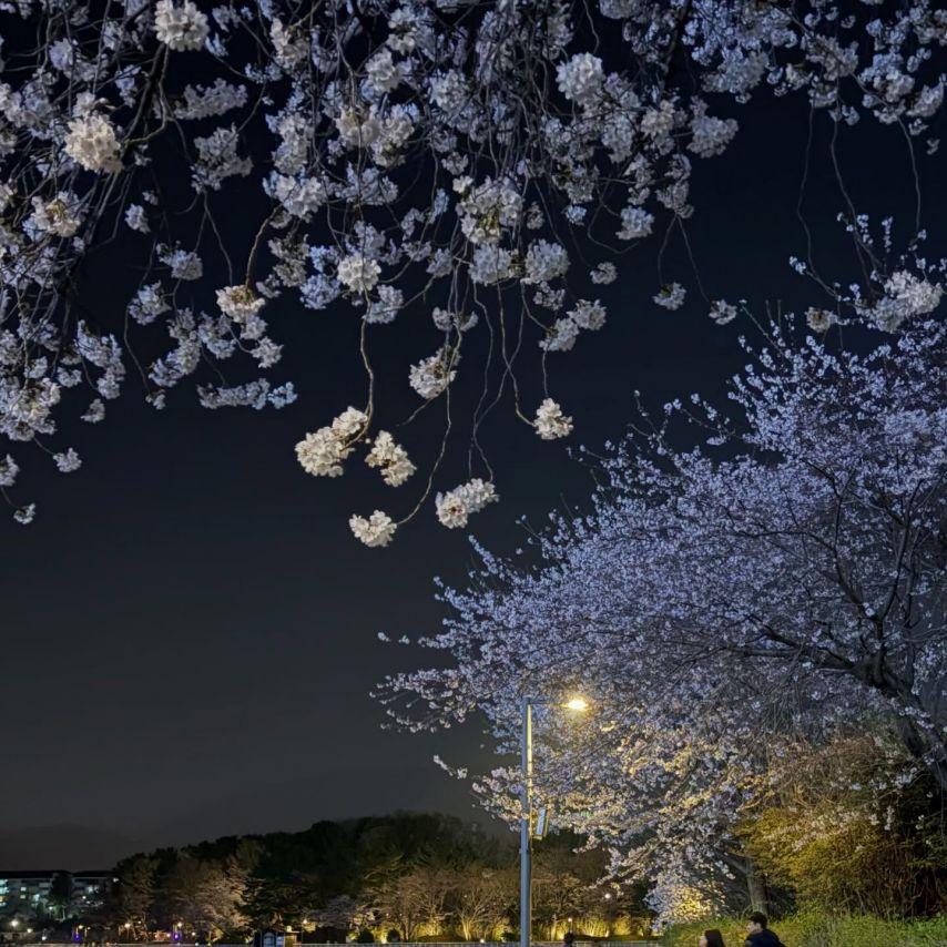 표예진 인별 좋은데이 창원9