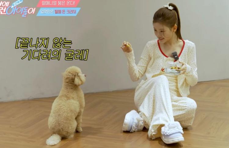 베이비돈크라이 이현2