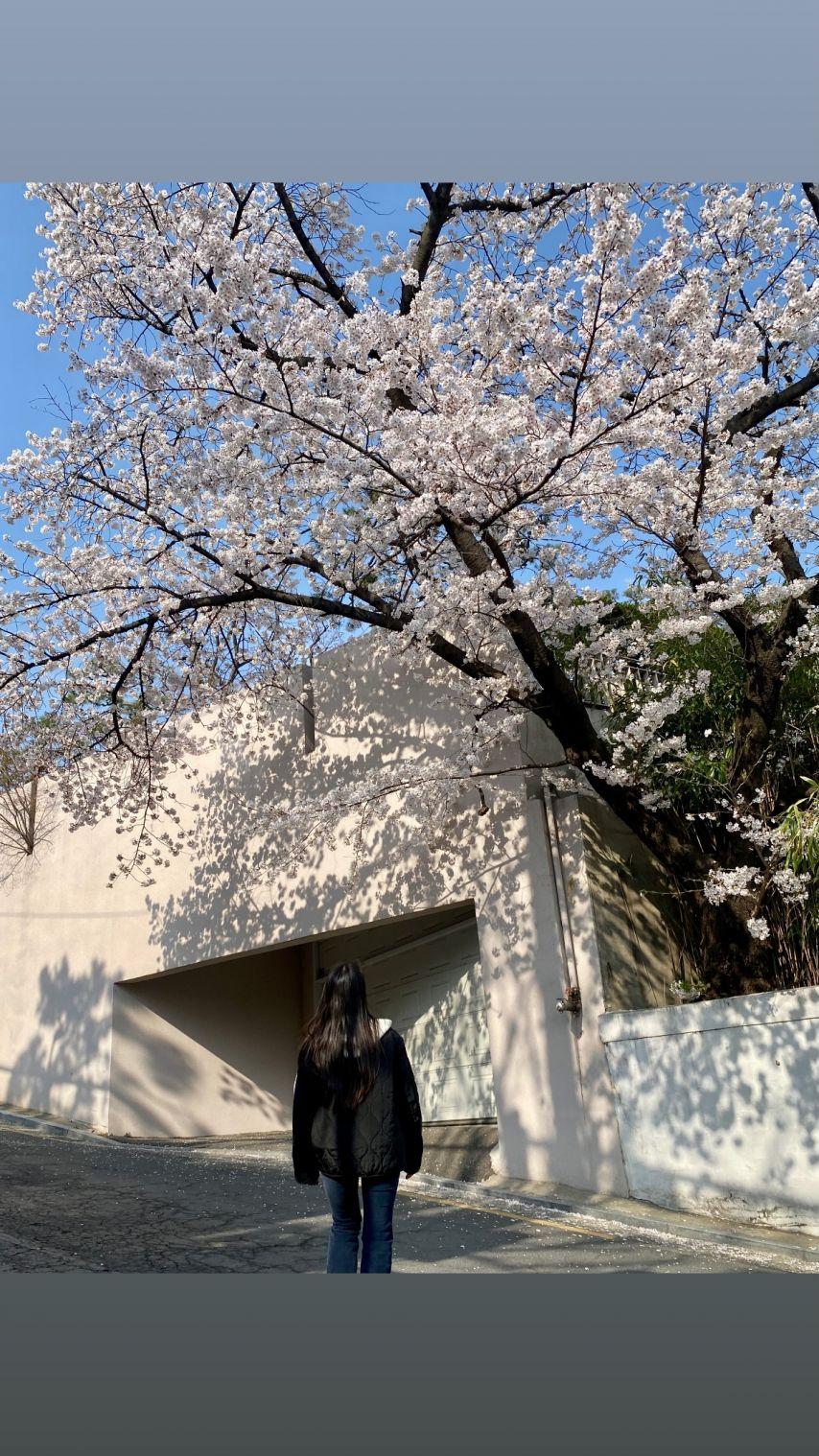 허영지 강지영/ 한승연 KARA카라 인별3