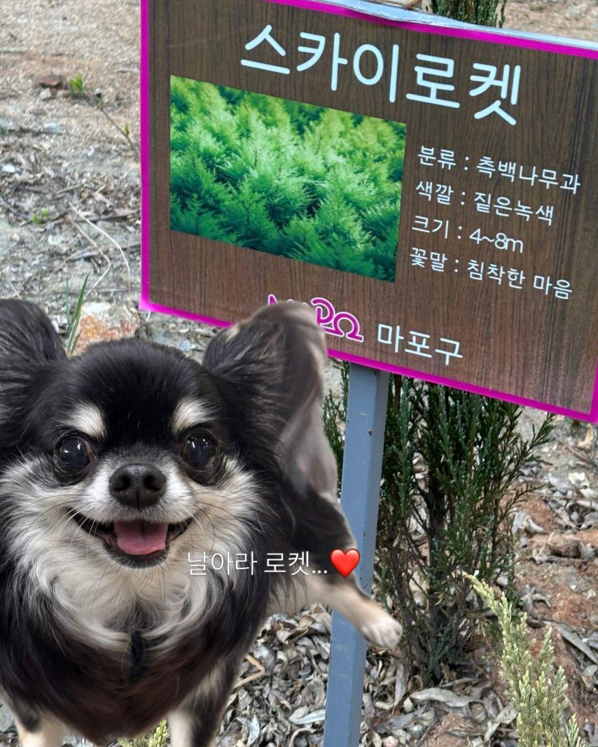 서지수 러블리즈 인별8