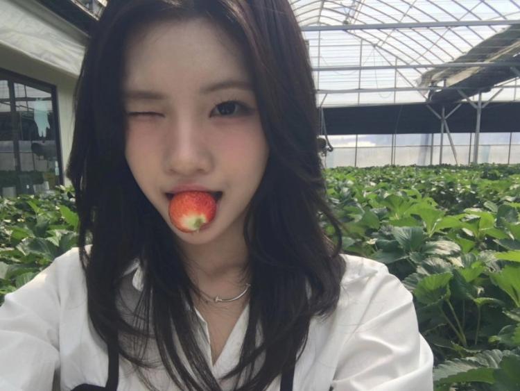 하츠투하츠 주은5