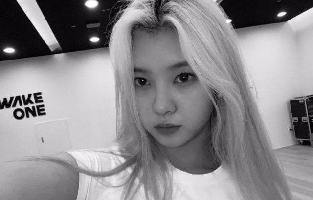 케플러 김다연