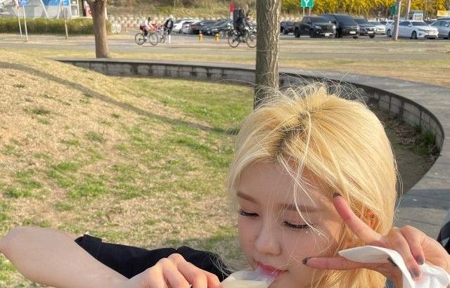케플러 김다연