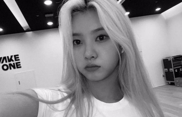 케플러 김다연