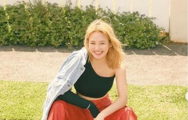 김효연