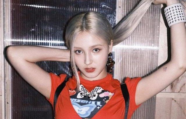 빨간 카우걸 낸시