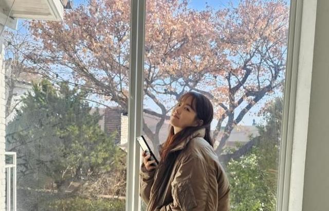 박보영