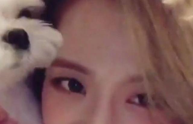 블랙핑크 지수