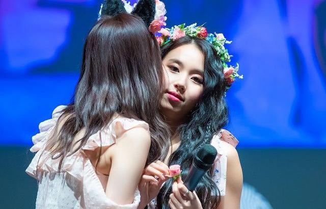 트와이스 채영
