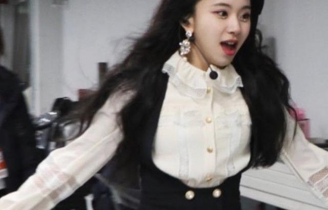 아기맹수