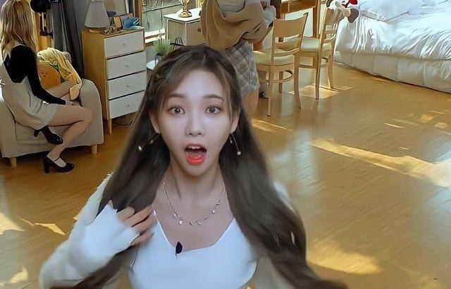 카리나 몇장