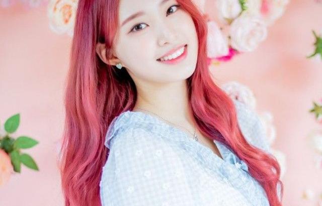위클리 조아