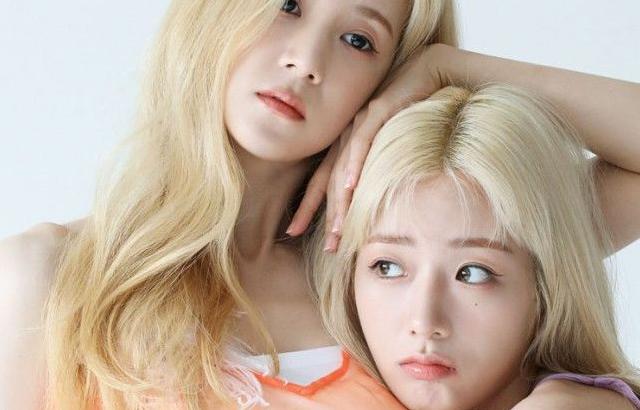초롱, 보미