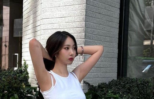 비비지신비