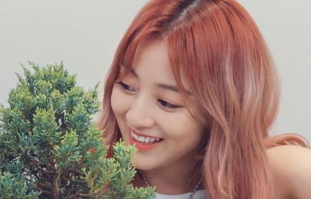 트와이스 지효