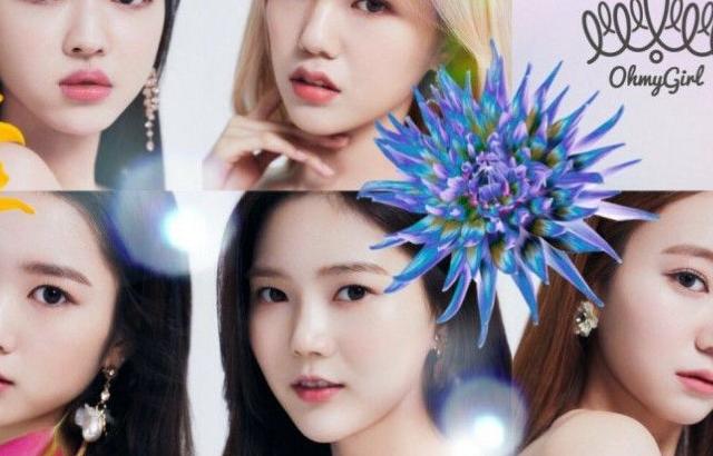 오마이걸 일본 앨범