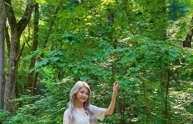 에버글로우 조세림