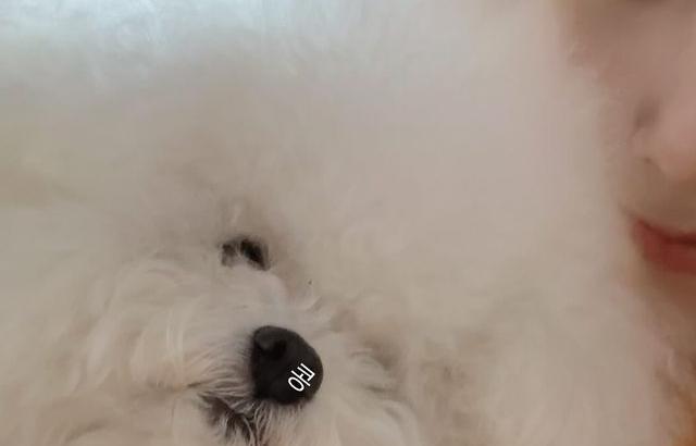 유지애