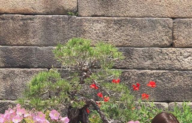 김수연 인스타