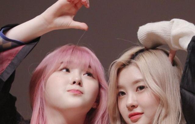 케플러 김다연
