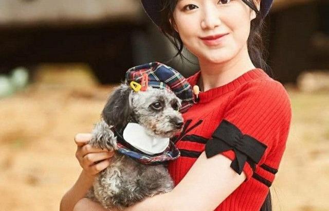 여자아이들 슈화