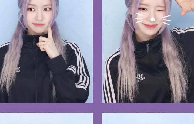 드림노트 은조