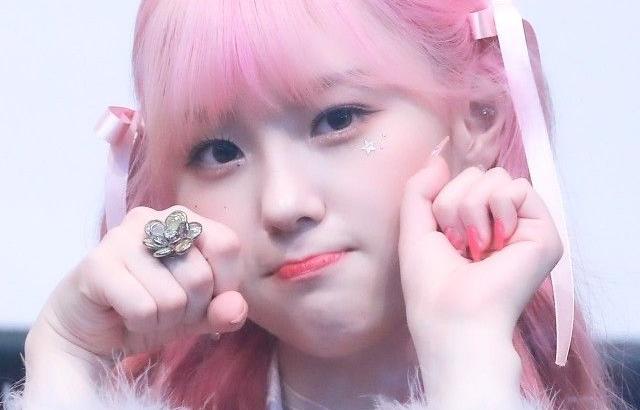 케플러 김채현