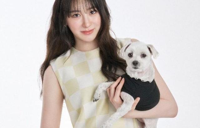 이채연