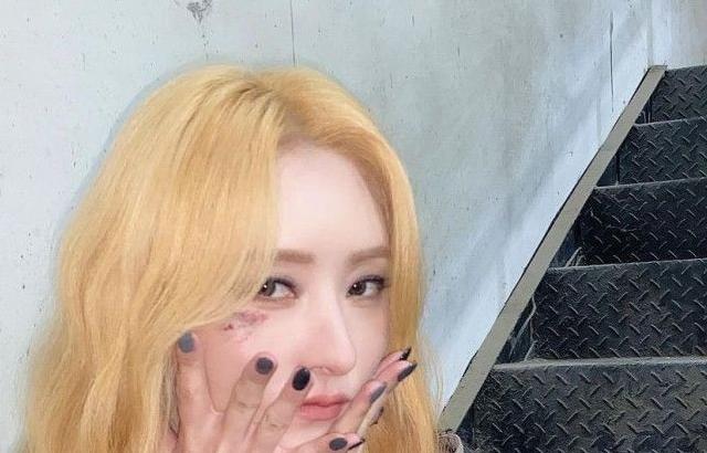 DREAMCTCHER SUA