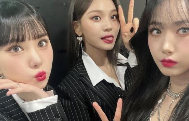 비비지