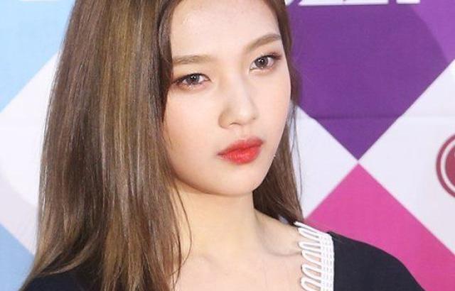 레드벨벳 조이