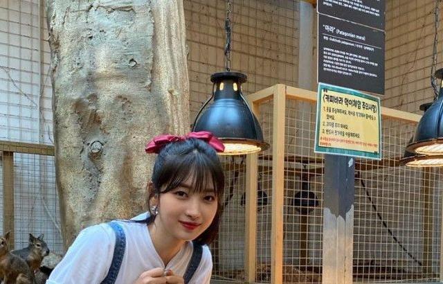 에버글로우 김시현