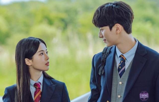 노정의 등 하이라키