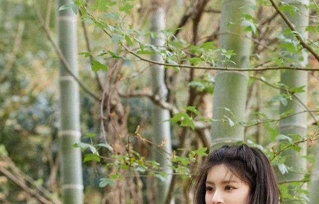 EVERGLOW Yiren