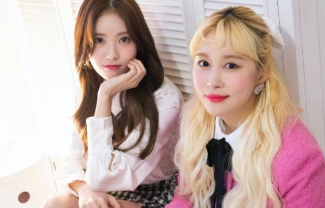 네이버x디스패치 우주소녀 쪼꼬미2