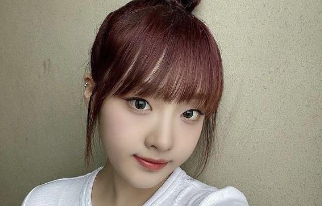 시그니처 클로이
