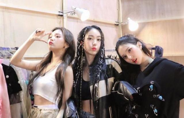 비비지