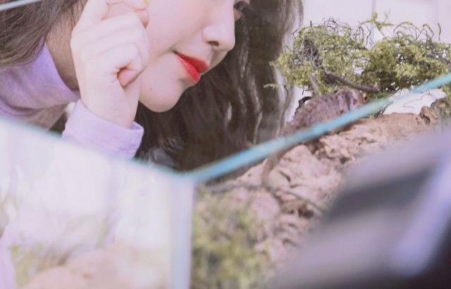 아이유 포토.ddd